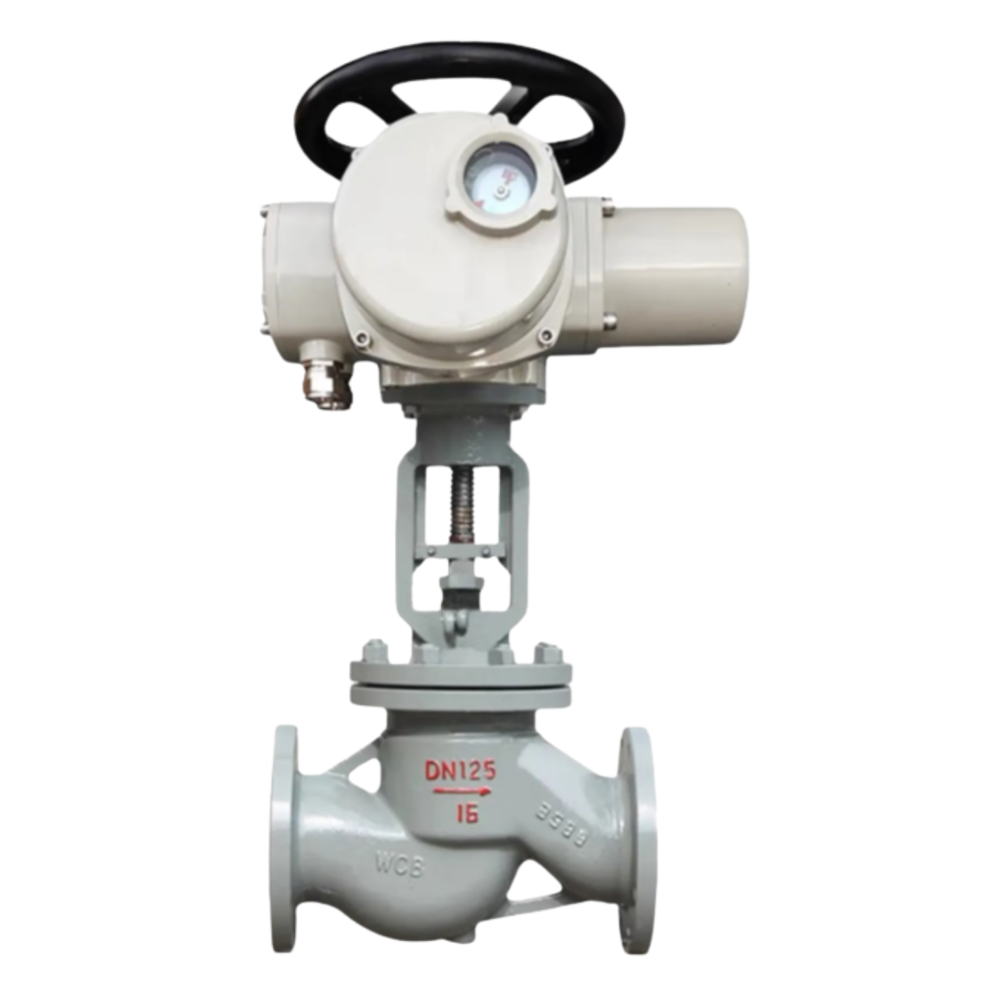 Electric Globe Valve