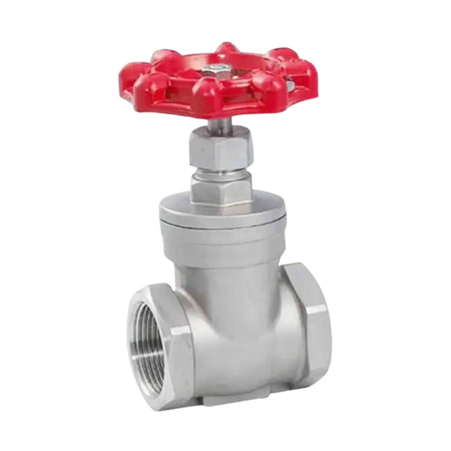 Z15W-16P Stainless Steel Threaded Gate Valve