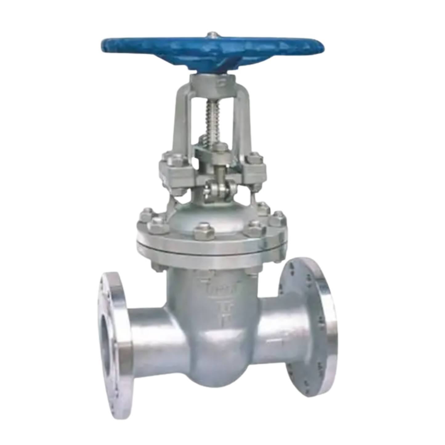 Z41W-16R Stainless Steel 316L Gate Valve