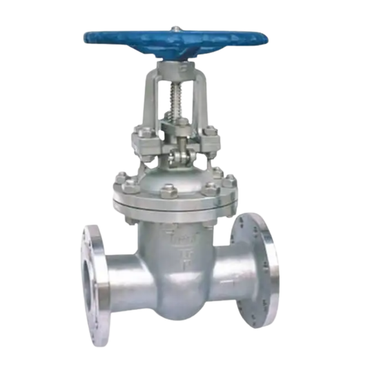 Z41W-16R Stainless Steel 316L Gate Valve