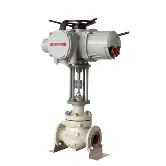 Hydrogen Dedicated Control Valve